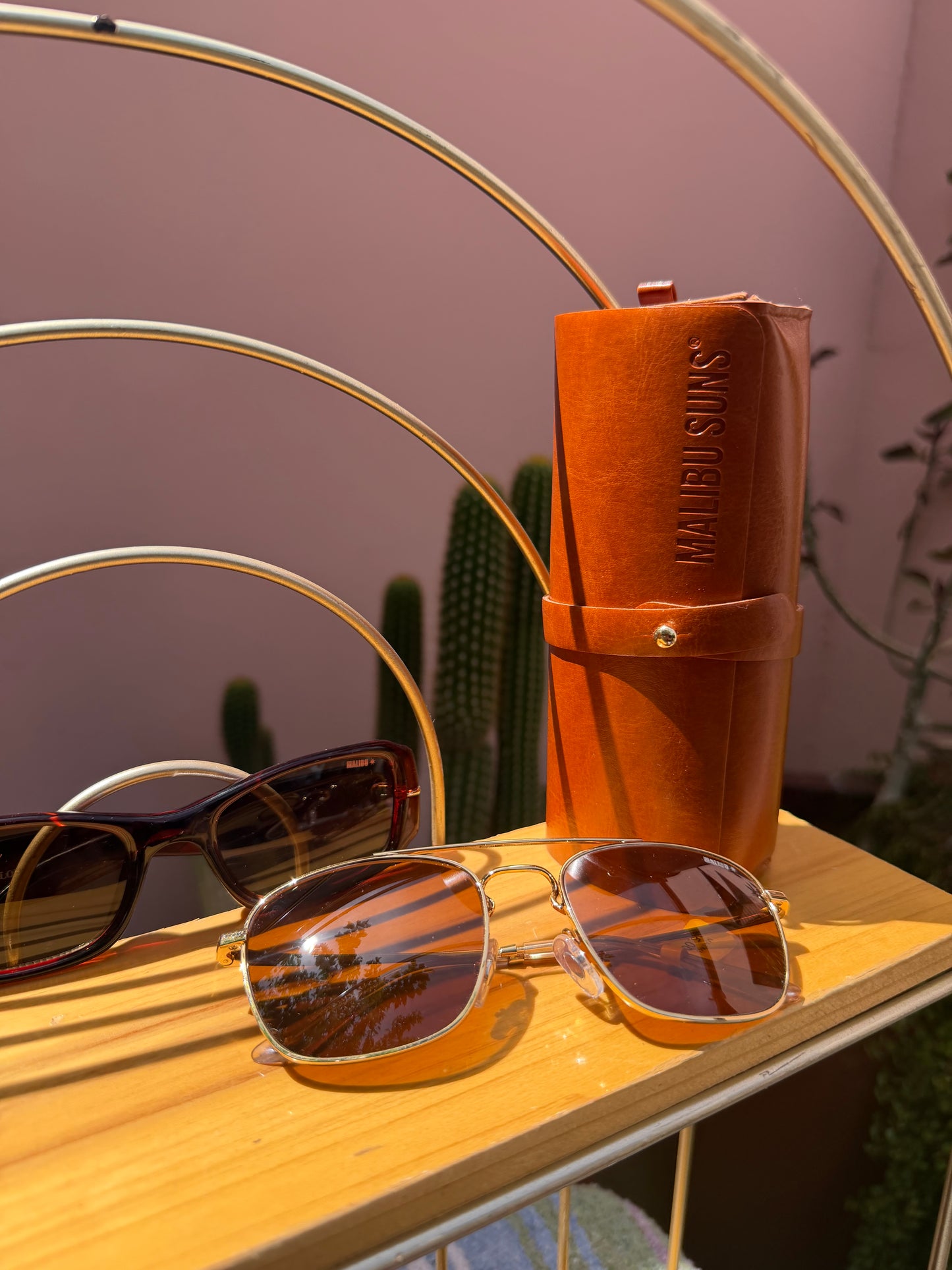 Malibu Suns ‘Lovelier Than Leather’ Case!